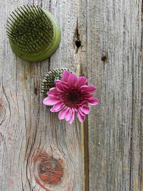 AMAZE NOVELTY LAVENDER POMPONS